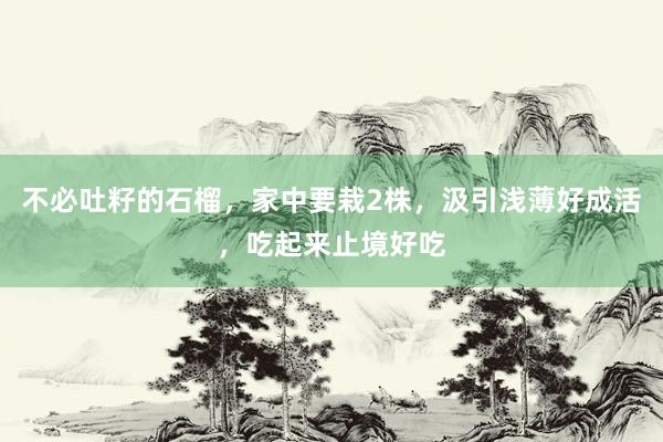 不必吐籽的石榴，家中要栽2株，汲引浅薄好成活，吃起来止境好吃