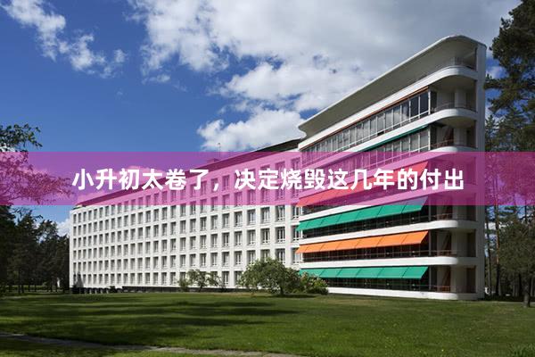 小升初太卷了,决定烧毁这几年的付出