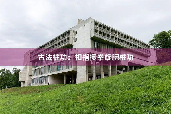 古法桩功：扣指攒拳旋腕桩功