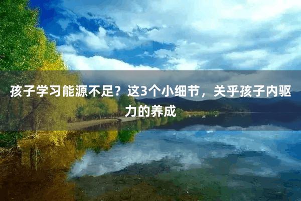 孩子学习能源不足？这3个小细节，关乎孩子内驱力的养成