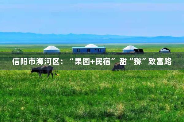 信阳市浉河区：“果园+民宿” 甜“猕”致富路