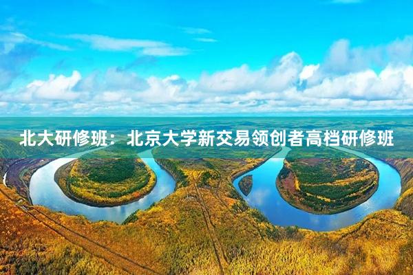 北大研修班：北京大学新交易领创者高档研修班
