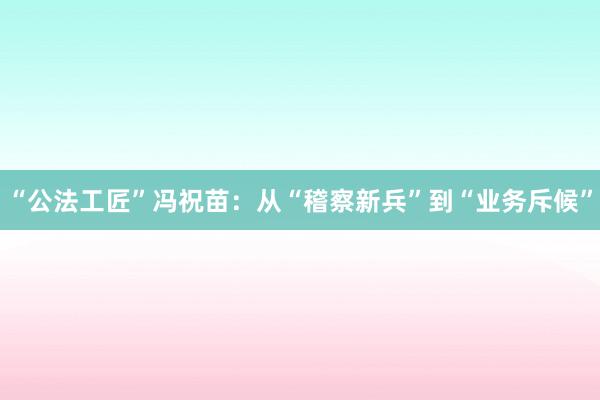 “公法工匠”冯祝苗：从“稽察新兵”到“业务斥候”