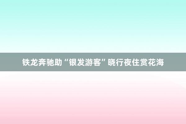 铁龙奔驰助“银发游客”晓行夜住赏花海