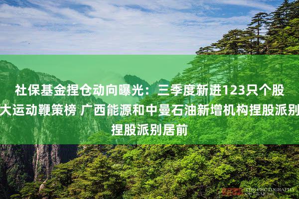社保基金捏仓动向曝光：三季度新进123只个股前十大运动鞭策榜 广西能源和中曼石油新增机构捏股派别居前
