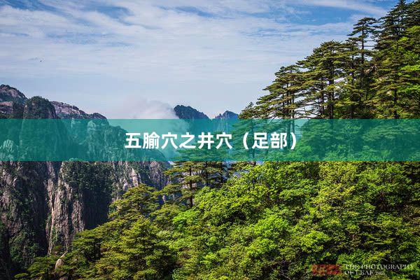 五腧穴之井穴（足部）