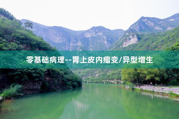 零基础病理--胃上皮内瘤变/异型增生