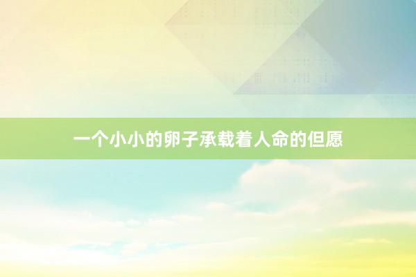 一个小小的卵子承载着人命的但愿