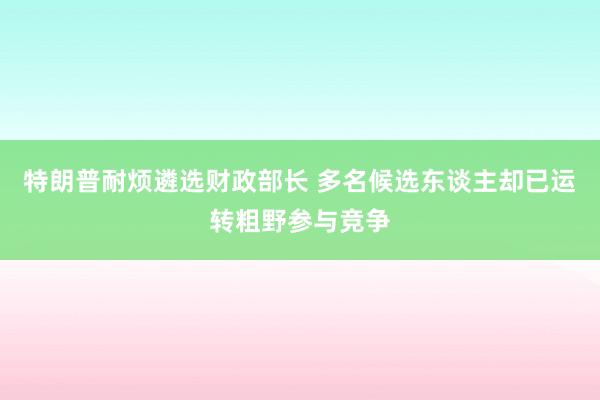 特朗普耐烦遴选财政部长 多名候选东谈主却已运转粗野参与竞争