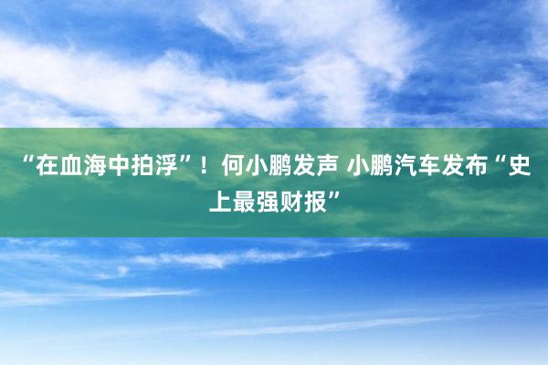 “在血海中拍浮”！何小鹏发声 小鹏汽车发布“史上最强财报”