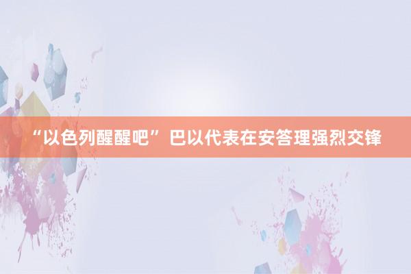 “以色列醒醒吧” 巴以代表在安答理强烈交锋