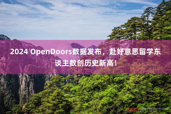 2024 OpenDoors数据发布，赴好意思留学东谈主数创历史新高！