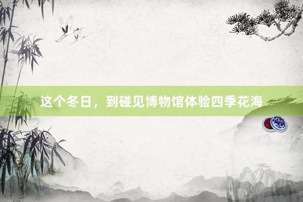 这个冬日，到碰见博物馆体验四季花海