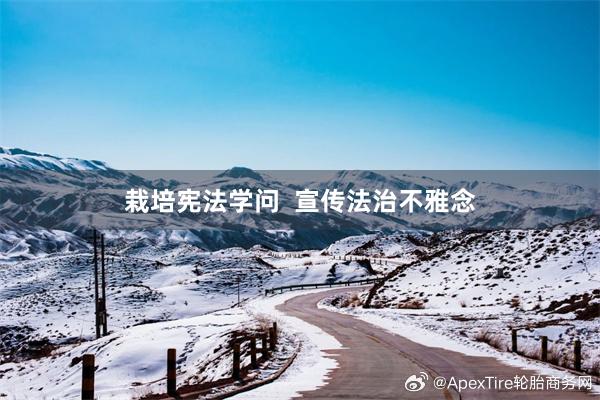 栽培宪法学问  宣传法治不雅念