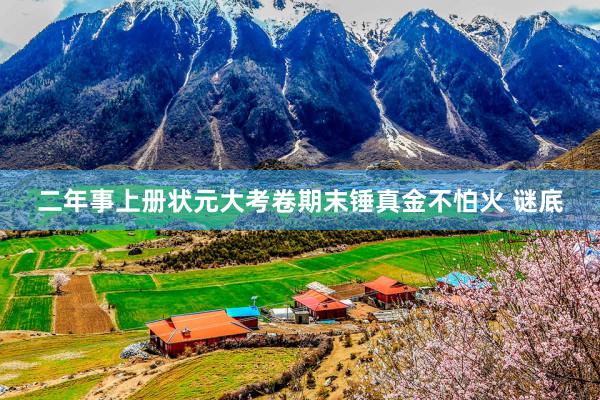 二年事上册状元大考卷期末锤真金不怕火 谜底