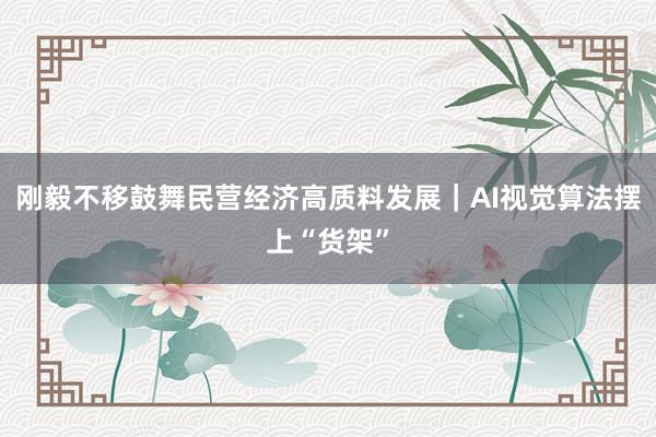 刚毅不移鼓舞民营经济高质料发展｜AI视觉算法摆上“货架”