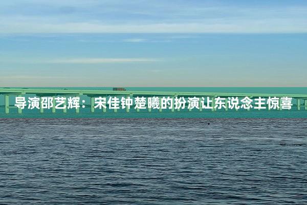 导演邵艺辉：宋佳钟楚曦的扮演让东说念主惊喜